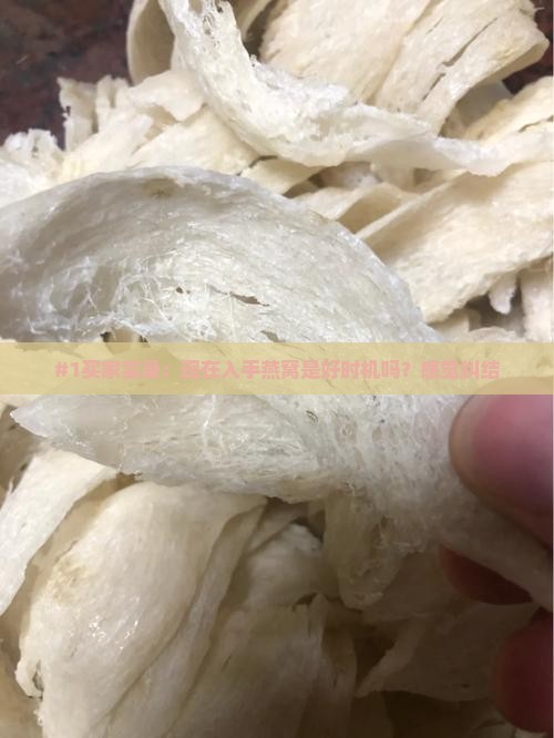 现在做燕窝怎么样了呢