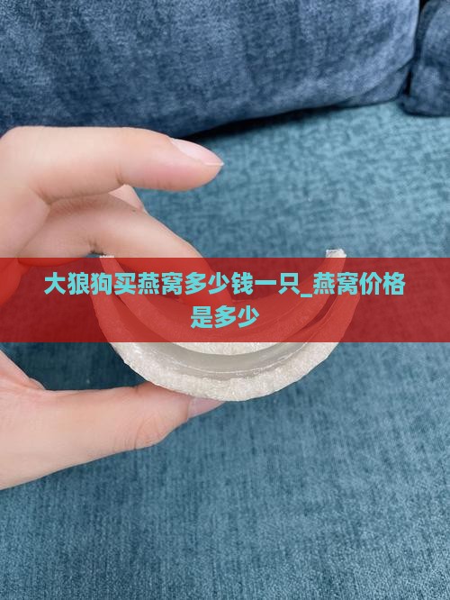 大狼狗买燕窝多少钱一只