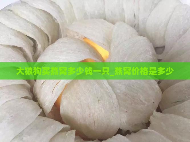 大狼狗买燕窝多少钱一只