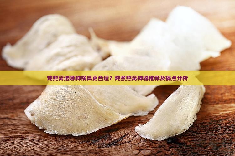 炖燕窝适合什么锅煮好呢