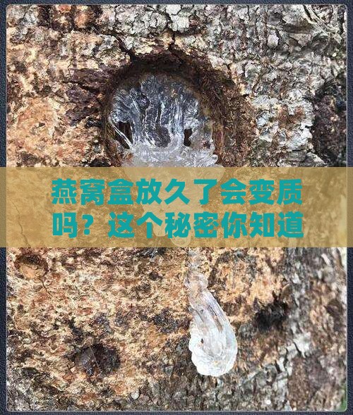 燕窝盒可以放多久不坏
