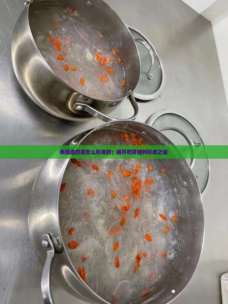 血燕窝是怎么样形成的