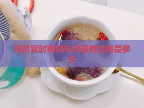 炖燕窝外面的水放多少克
