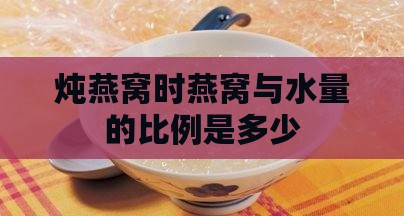 炖燕窝外面的水放多少克