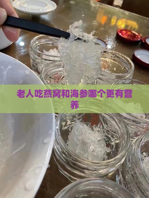 老人海参和燕窝哪个好