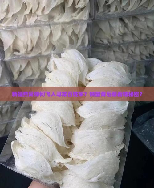 新疆燕窝产品的销量如何