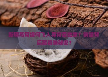 新疆燕窝产品的销量如何