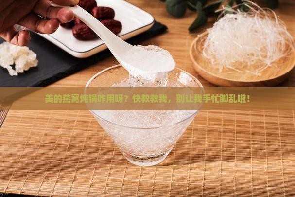 美的燕窝炖锅怎么使用