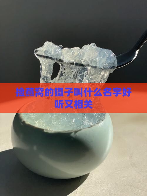 捡燕窝的镊子叫什么名字