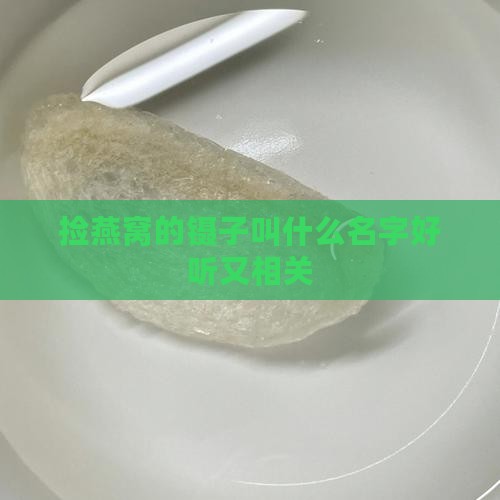 捡燕窝的镊子叫什么名字
