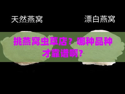 燕窝虫草店如何选品种