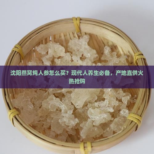 沈阳燕窝炖人参怎么买