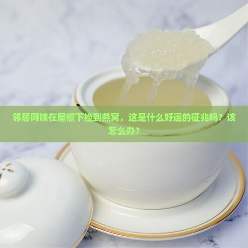 屋檐下发现燕窝什么意思