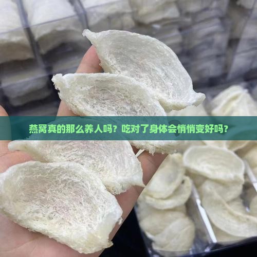 燕窝怎么对身体好一点