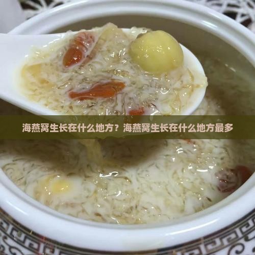 海燕窝生长在什么地方