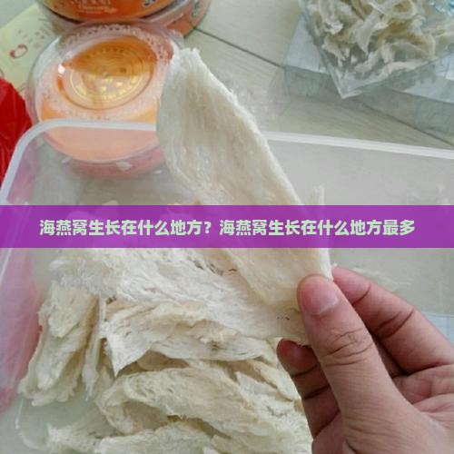 海燕窝生长在什么地方