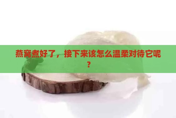 燕窝出锅怎么处理好呢