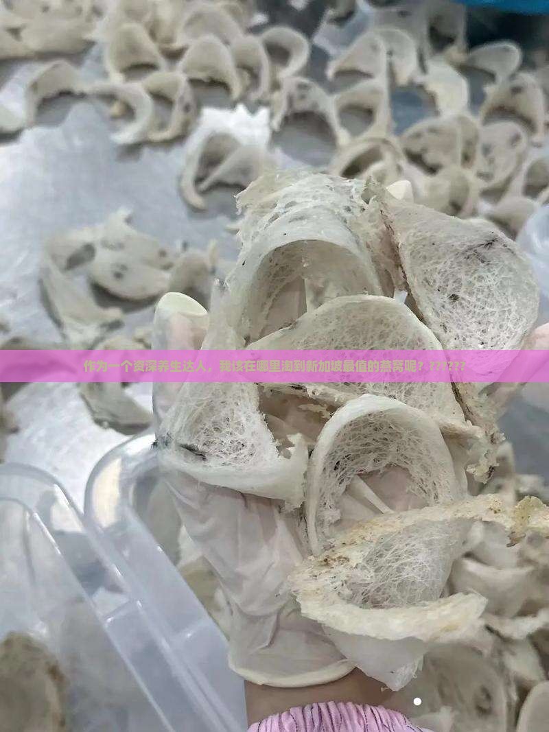 新加坡哪里买燕窝最好