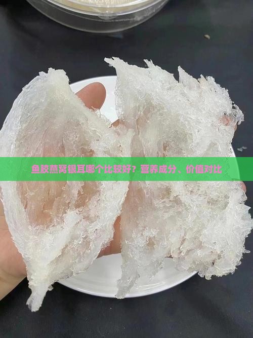 鱼胶燕窝银耳哪个比较好