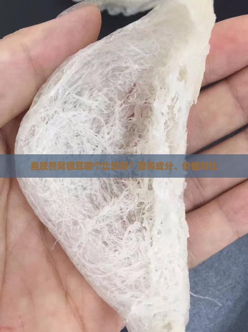 鱼胶燕窝银耳哪个比较好