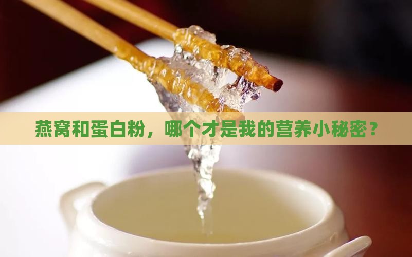 燕窝跟蛋白粉哪个好一点