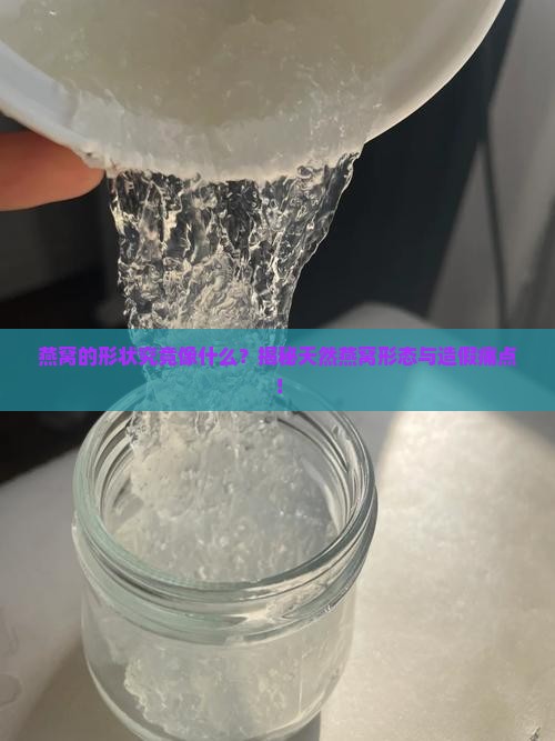 燕窝的形状像什么东西
