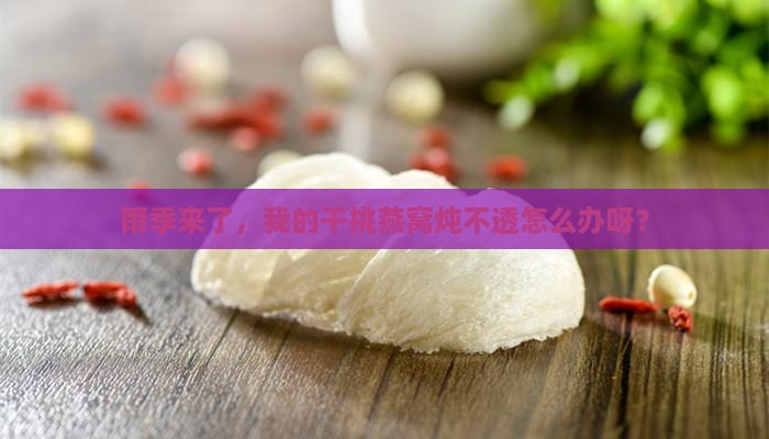 雨季干挑燕窝不耐炖怎么办