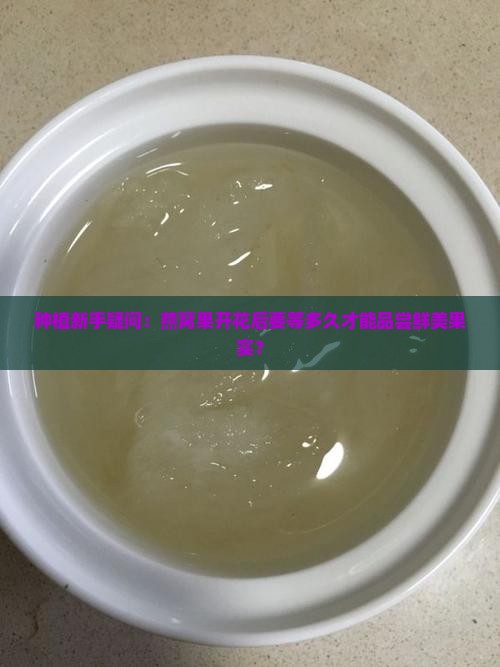 燕窝果开花多久成熟了