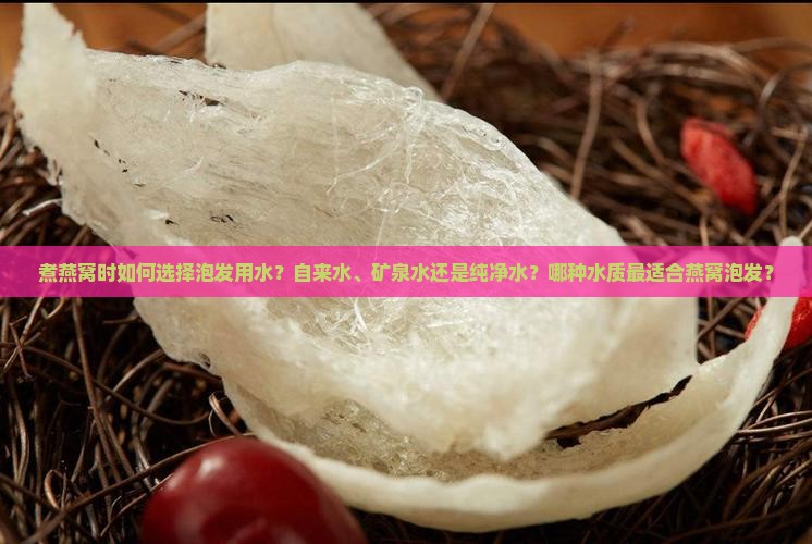 煮燕窝一般用什么水泡