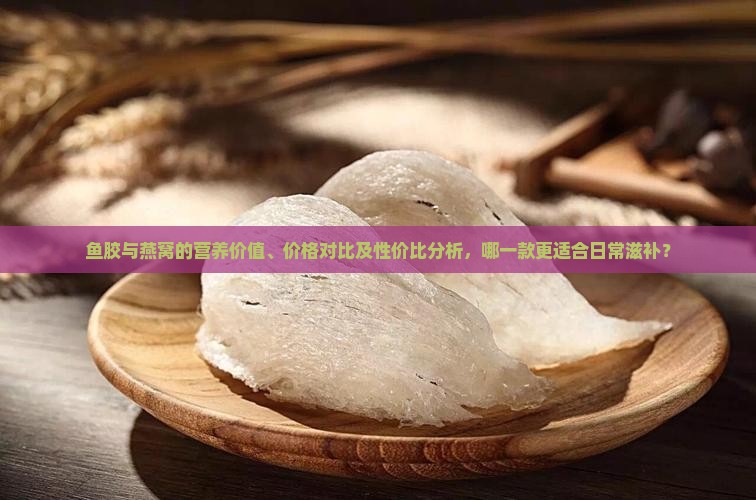 鱼胶和燕窝哪个性价比高