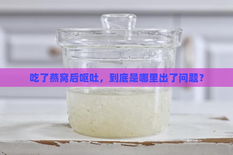 食用燕窝呕吐怎么办啊