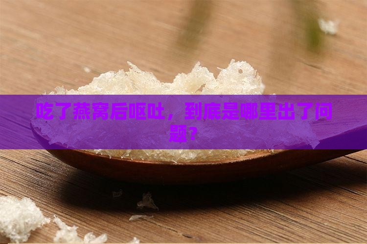 食用燕窝呕吐怎么办啊