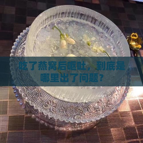 食用燕窝呕吐怎么办啊