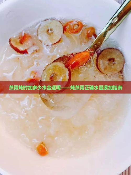 燕窝炖时加多少水合适呢