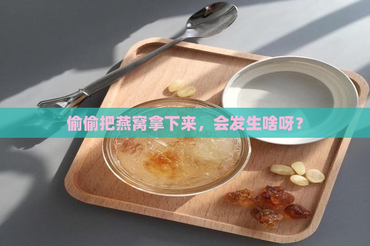 把燕窝偷下来会怎么样吗