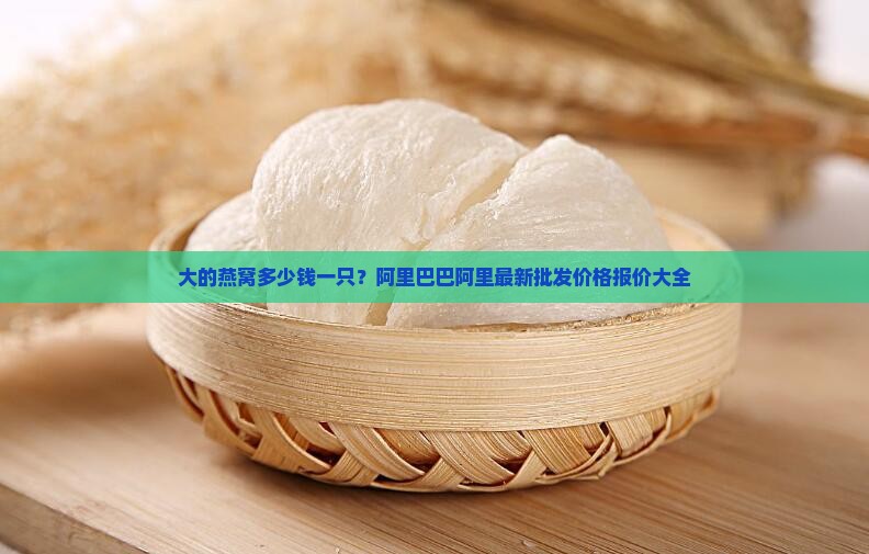 最大的燕窝多少钱一只