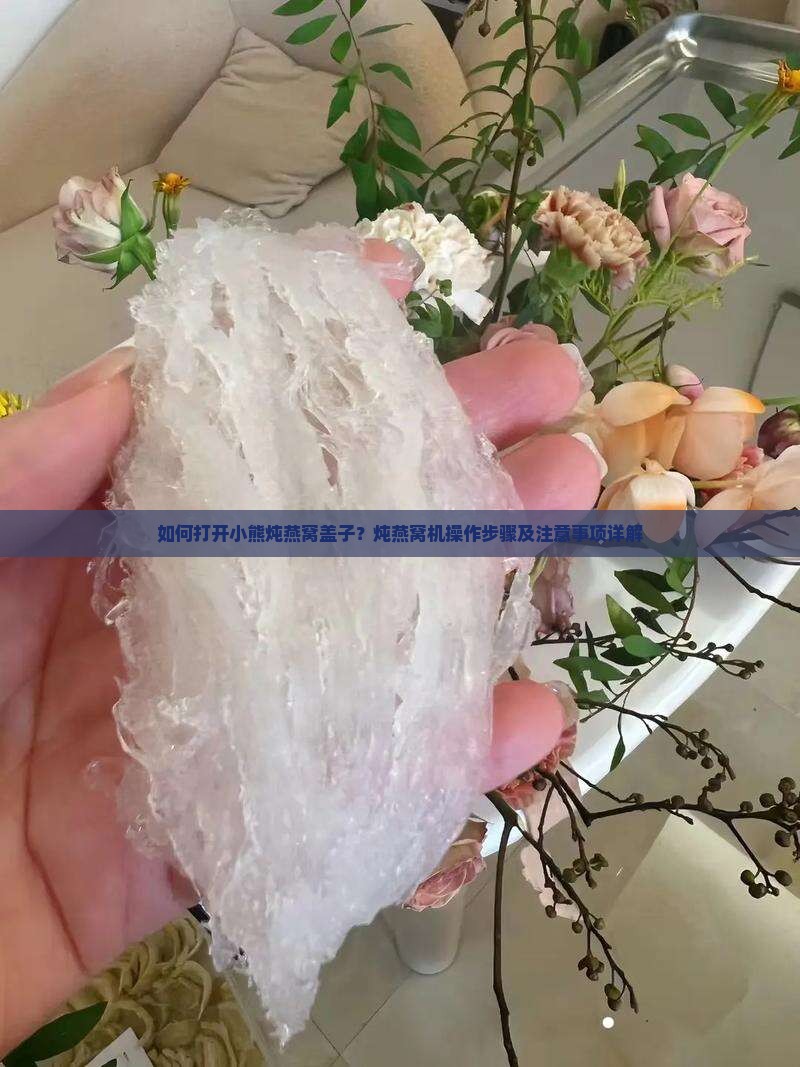 小熊炖燕窝盖子怎么打开