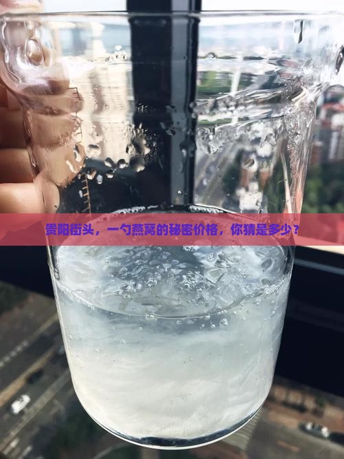 贵阳干燕窝零售价多少