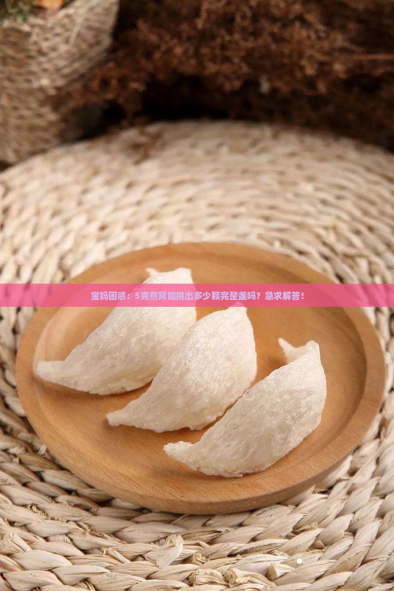 五克燕窝大概有多少颗呀