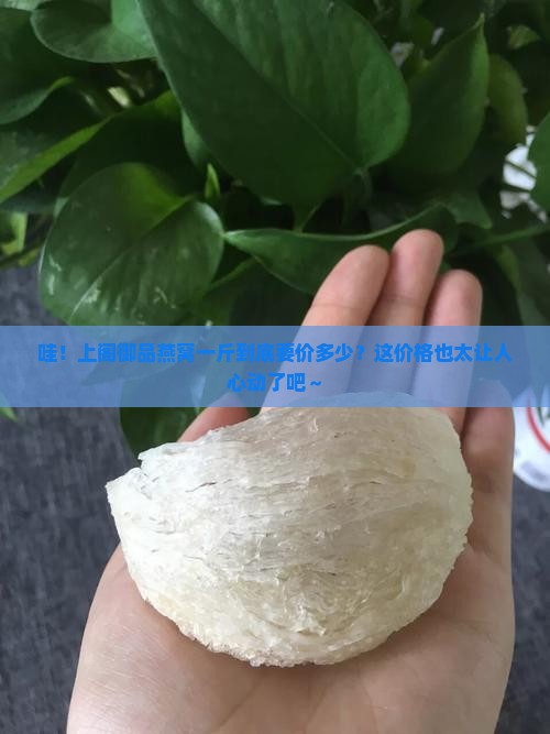 上阁御品燕窝多少钱一斤