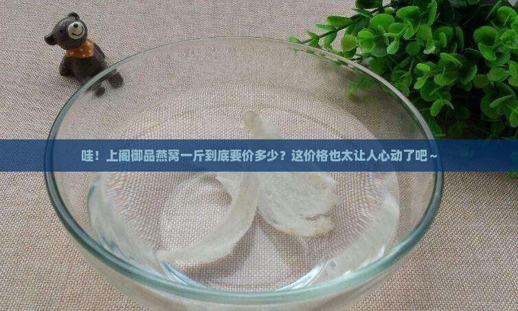 上阁御品燕窝多少钱一斤