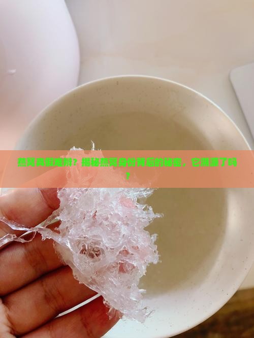 如何看燕窝是否溯源了没
