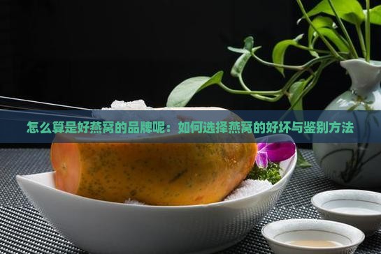 怎么算是好燕窝的品牌呢