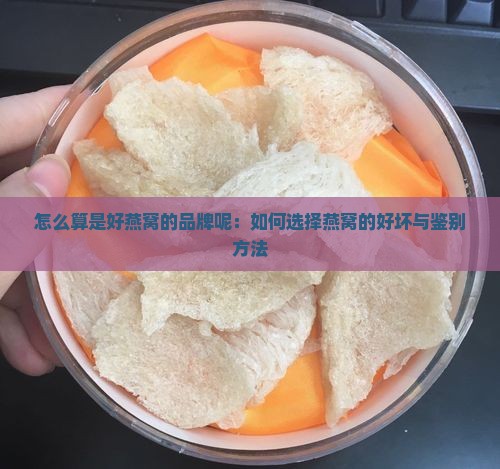 怎么算是好燕窝的品牌呢
