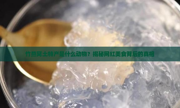 竹燕窝土特产是什么动物