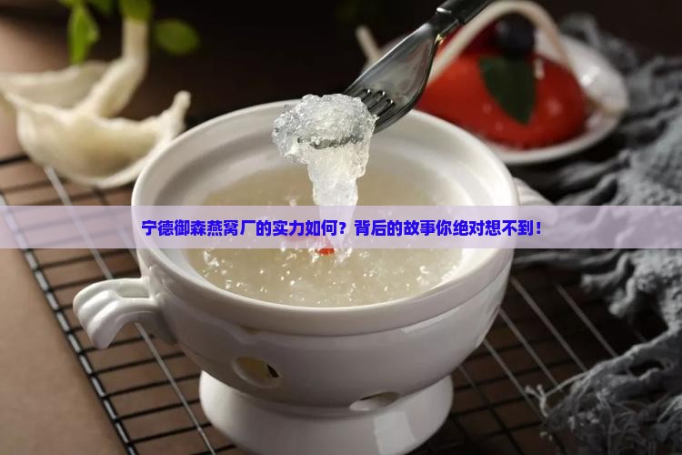 宁德御森燕燕窝厂怎么样