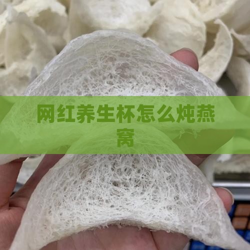 网红养生杯炖燕窝怎么用