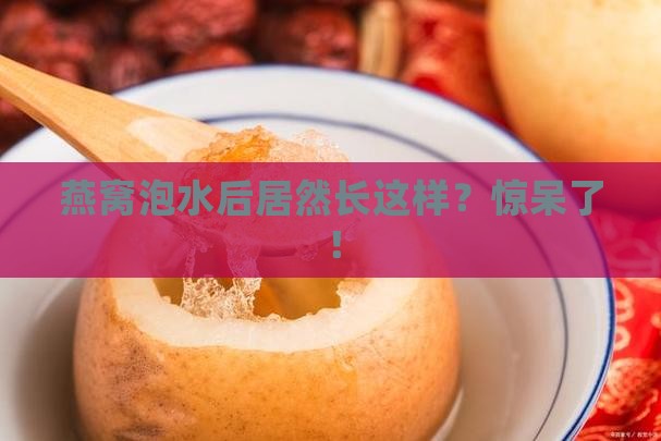燕窝用水泡后是什么样的