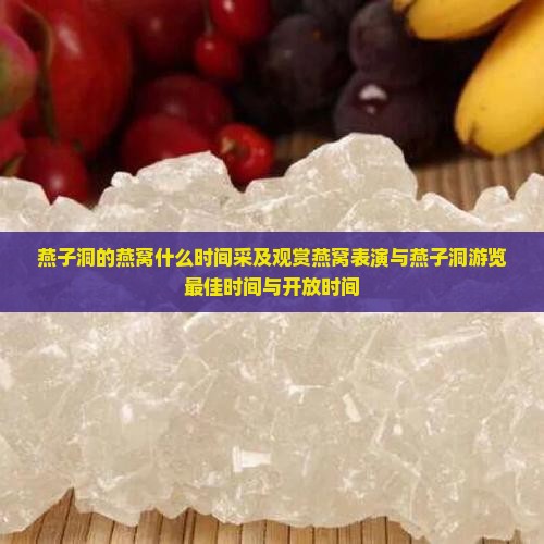 燕子洞的燕窝什么时间采
