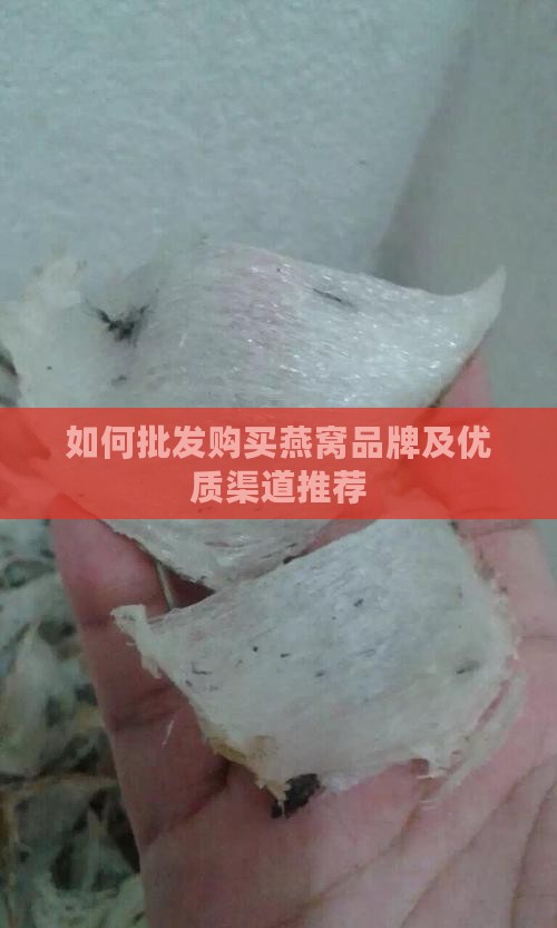 如何批发购买燕窝品牌呢
